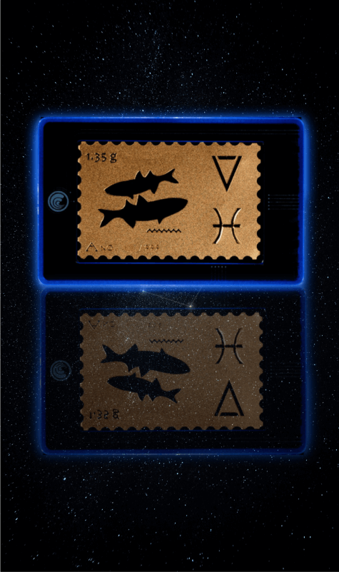 chip tag
